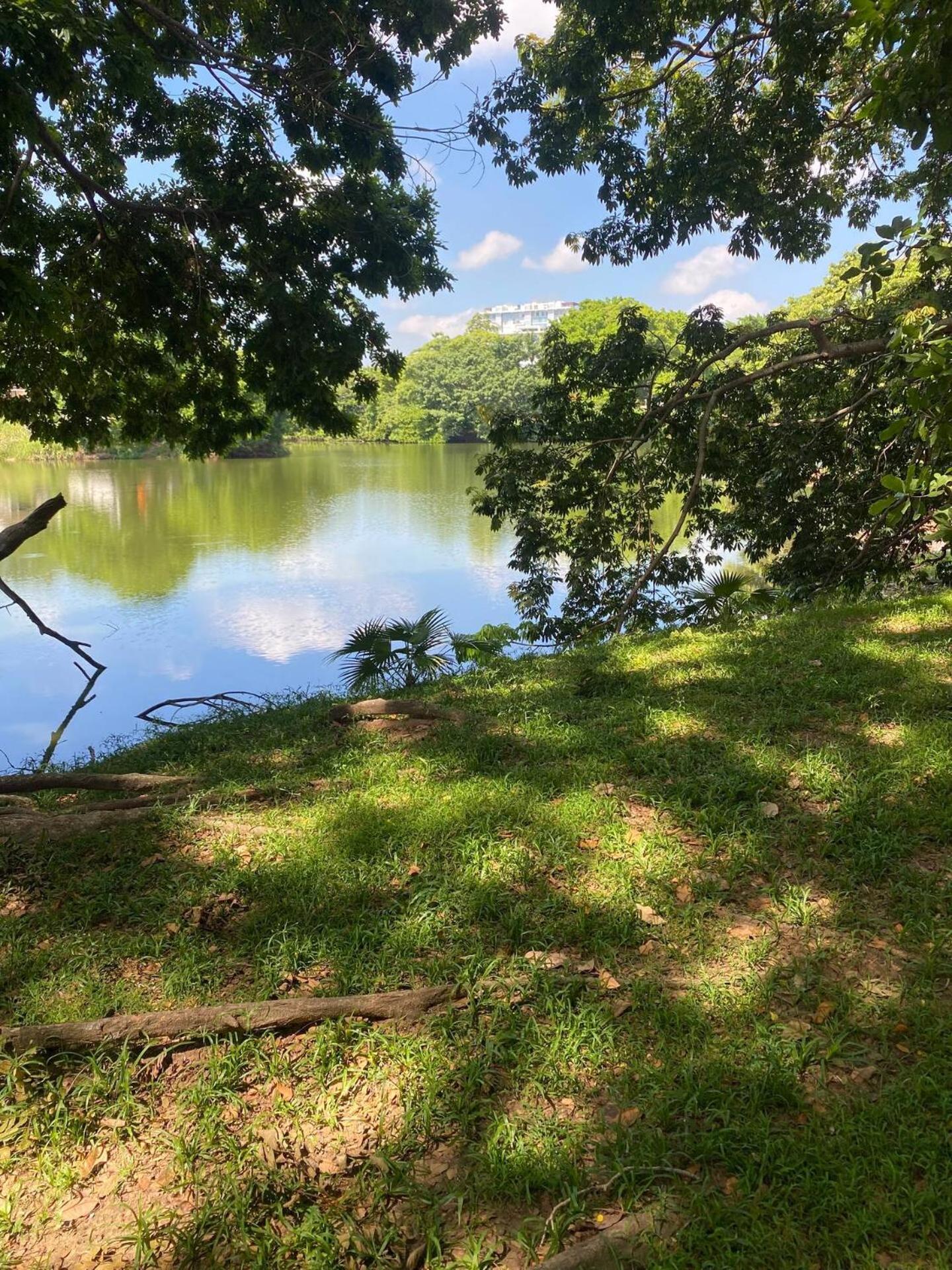 الشقق الفندقية فيلاهيرموسافي  Dg Divine Garden Tabasco المظهر الخارجي الصورة